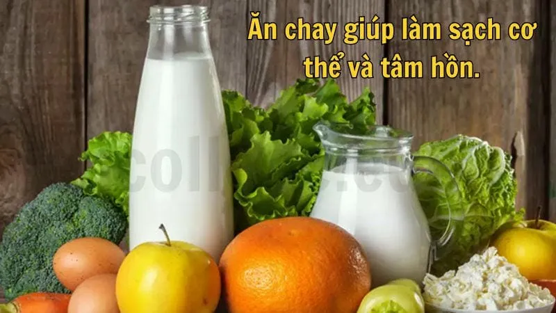 Cap ăn chay - Những câu nói hay về thực phẩm chay 3