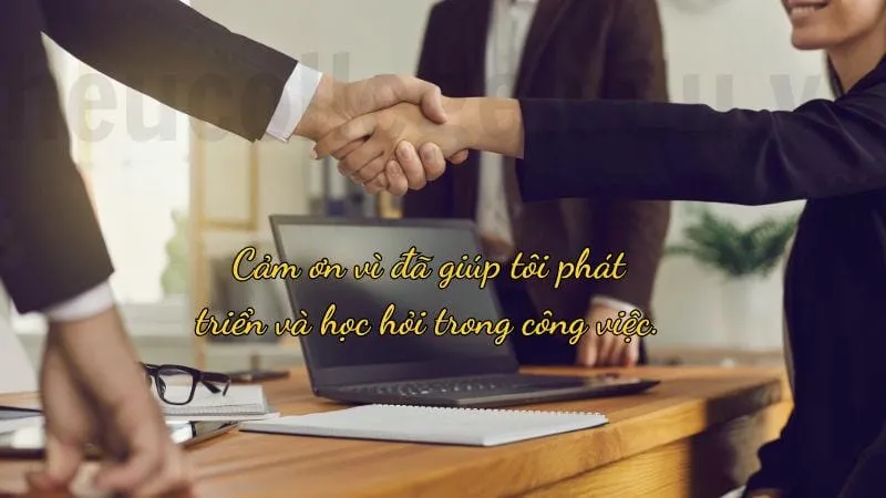 Caption cảm ơn hay - Truyền cảm hứng qua những lời cảm kích 2