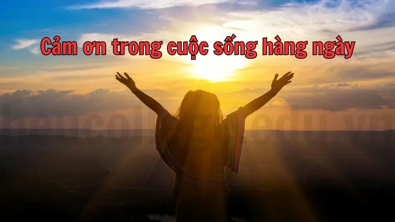 Caption cảm ơn hay - Truyền cảm hứng qua những lời cảm kích 3