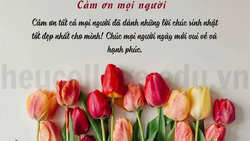 Cap cảm ơn sinh nhật - Những lời cảm ơn chân thành nhất 7