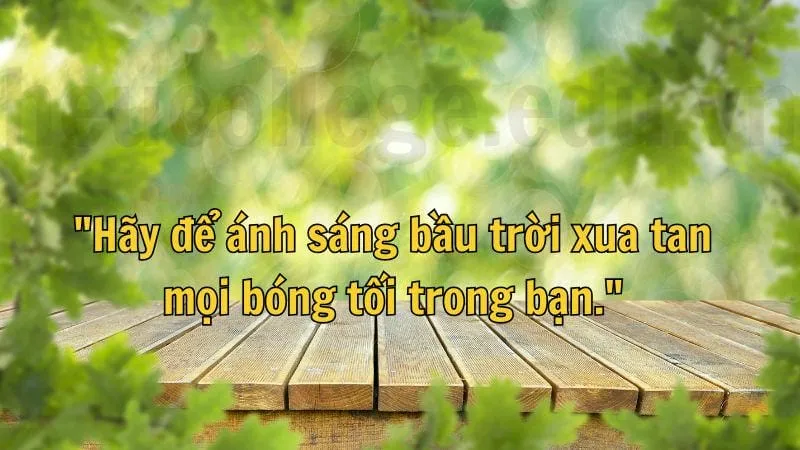 Cap chữa lành - Những câu nói giúp tâm hồn bạn vững vàng 10