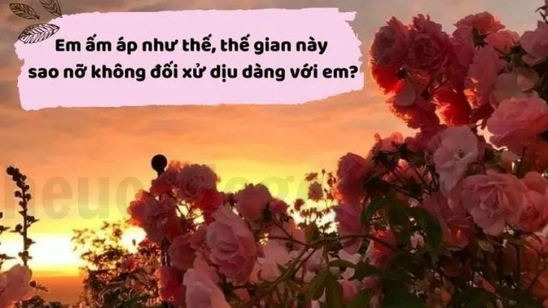 Cap hay về nàng thơ - Lời ngọt ngào cho tình yêu 2