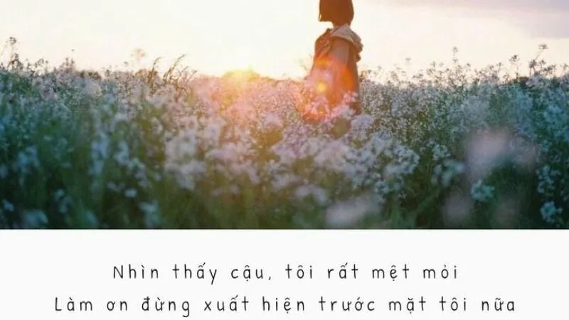 Cap hay về nàng thơ - Lời ngọt ngào cho tình yêu 5