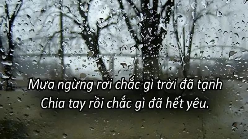 Những cap mưa buồn tâm trạng - Chia sẻ cảm xúc ngày mưa 6