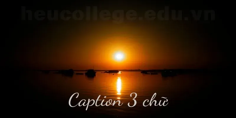 Khám phá 100+ caption 3 chữ siêu hay cho những bức ảnh của bạn