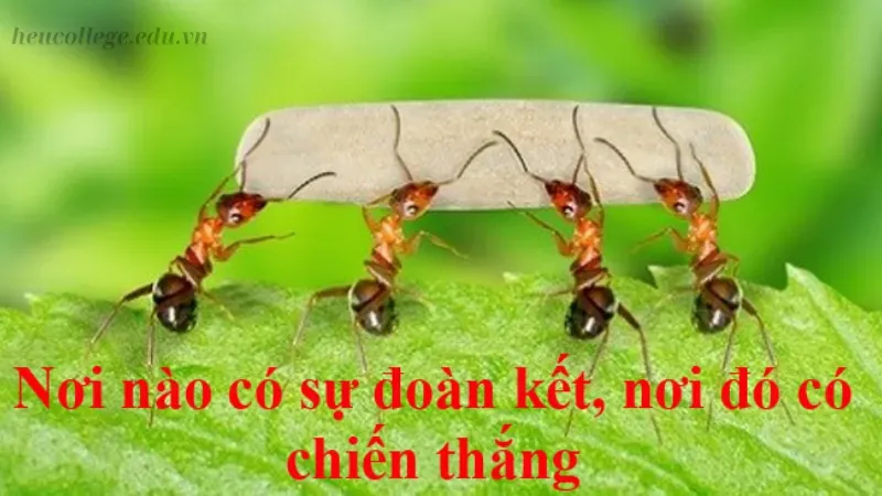 Caption 30/4 - Lời tri ân ngày thống nhất độc đáo và ý nghĩa 5