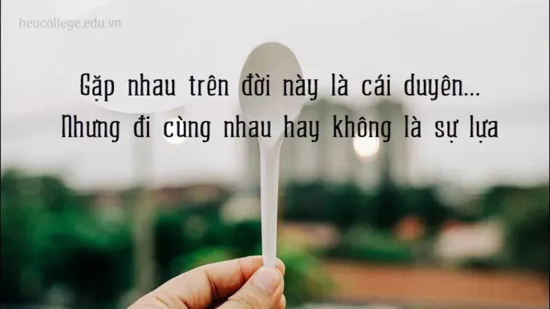 Những caption hay để tiểu sử ngắn gọn và ý nghĩa cho các nền tảng 6