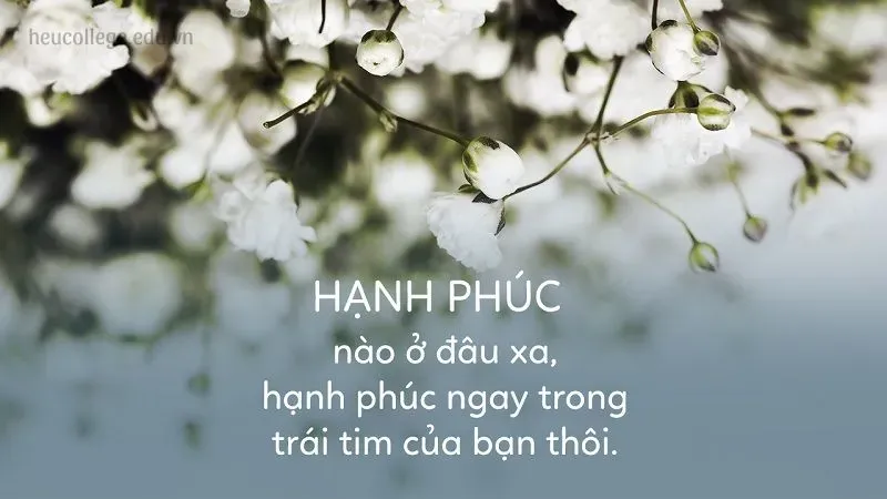 Tổng hợp caption hay về bình yên gây ấn tượng trên mọi nền tảng 4