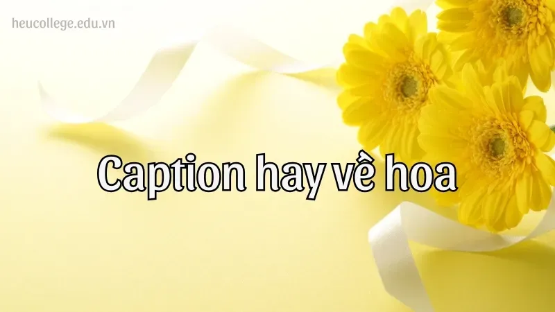 Những câu caption hay về hoa để làm nổi bật những bức ảnh của bạn