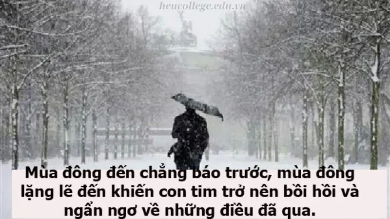 99+ caption hay về mùa đông đầy cảm xúc cho bài đăng nổi bật 4