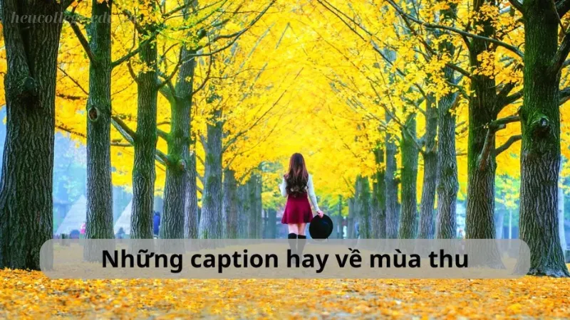 Caption về mùa thu đầy tâm trạng cho bài đăng của bạn 3