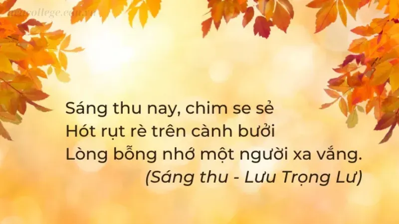 Caption về mùa thu đầy tâm trạng cho bài đăng của bạn 4