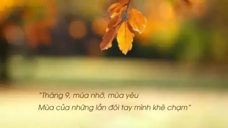 Caption về mùa thu đầy tâm trạng cho bài đăng của bạn 5