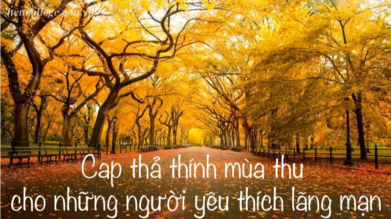 Caption về mùa thu đầy tâm trạng cho bài đăng của bạn 7