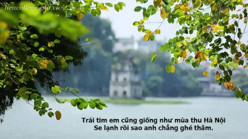 Caption về mùa thu đầy tâm trạng cho bài đăng của bạn 8