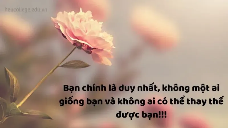 Khám phá những caption hay ý nghĩa được độc giả yêu thích nhất 2