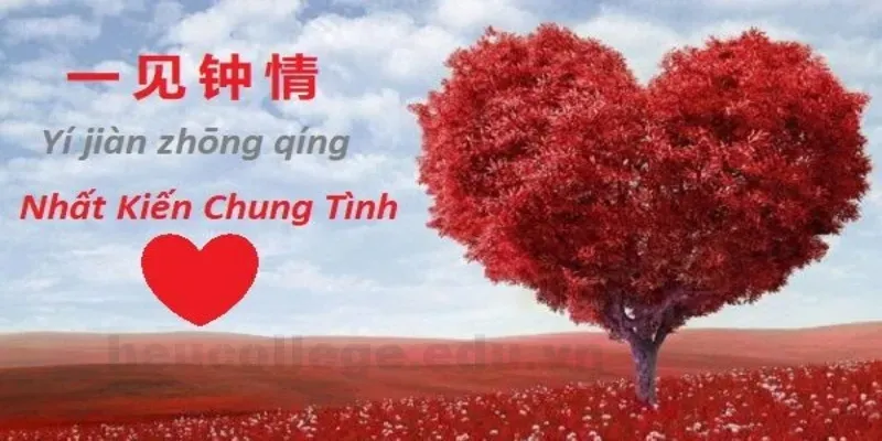 Top 500+ caption tiếng Trung hay về tình yêu khiến tim tan chảy 6