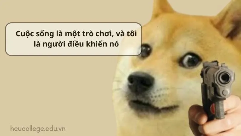 Những câu nói hài hước khiến bạn không thể nhịn cười 6