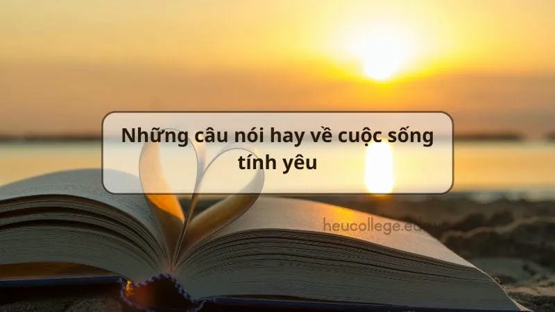 Những câu nói hay về cuộc sống và tình yêu truyền cảm hứng 1