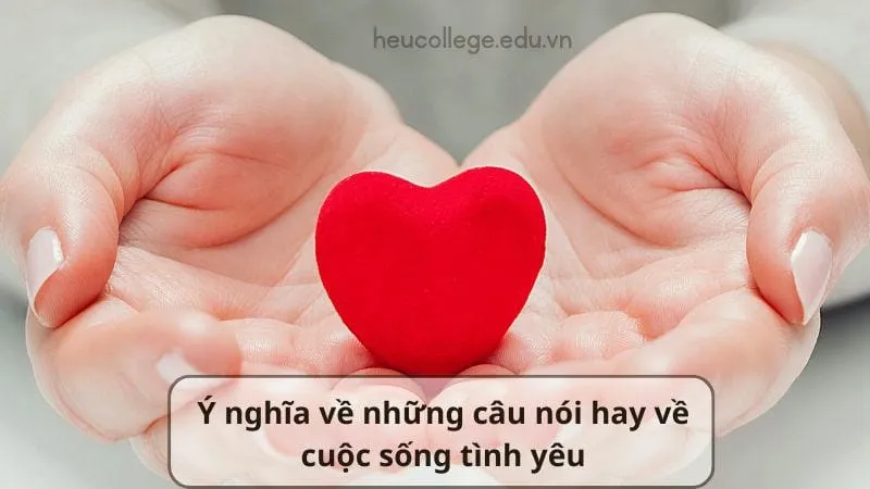 Những câu nói hay về cuộc sống và tình yêu truyền cảm hứng 5