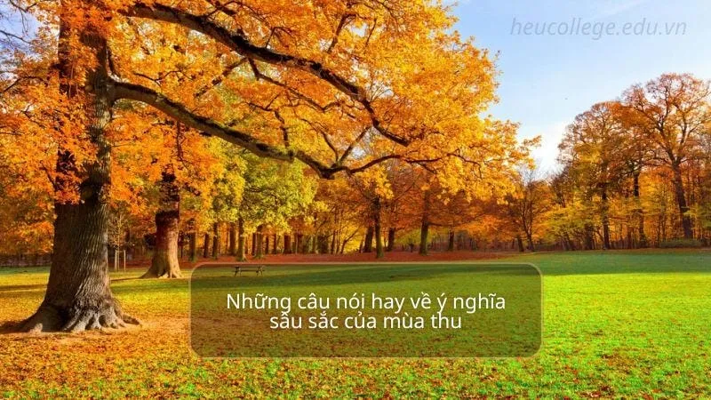 Những câu nói hay về mùa thu đầy cảm xúc và lãng mạn 5