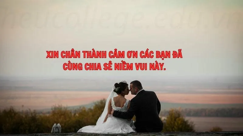 Câu nói MC đám cưới hay và ý nghĩa cho ngày trọng đại 7