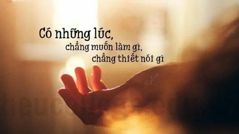 Câu nói mệt mỏi - Ghi lại nỗi lòng bạn đang mang 4