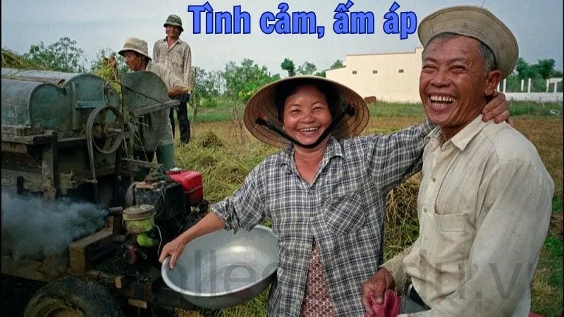 Câu nói miền Trung hay và ý nghĩa trong cuộc sống 4