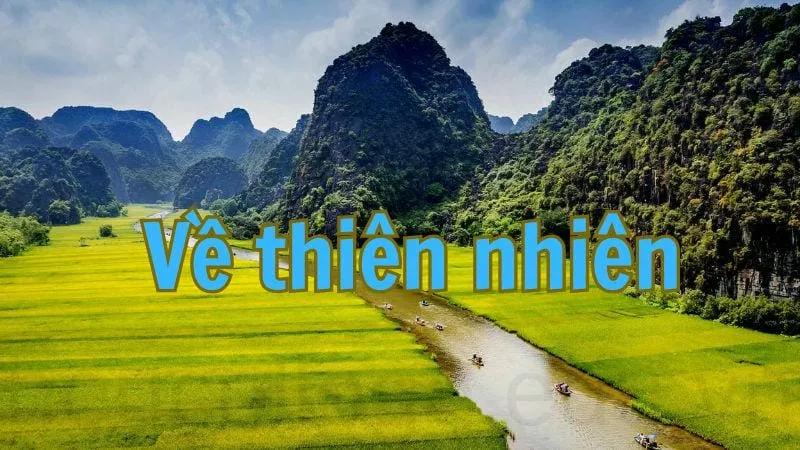 Câu nói miền Trung hay và ý nghĩa trong cuộc sống 5