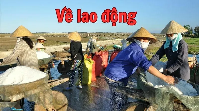 Câu nói miền Trung hay và ý nghĩa trong cuộc sống 6