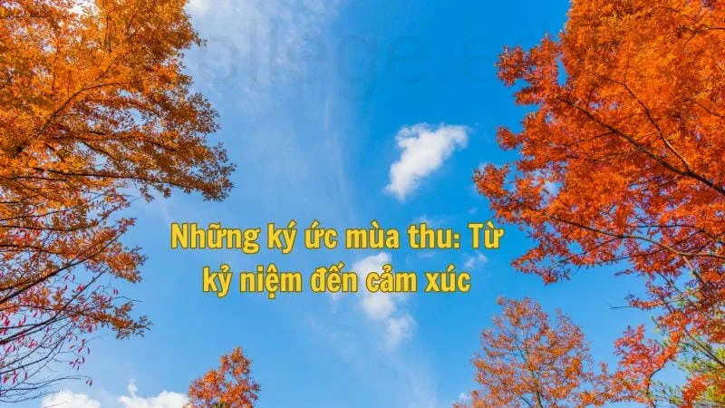 Câu nói mùa thu - Những cảm xúc trong thời gian đẹp 3