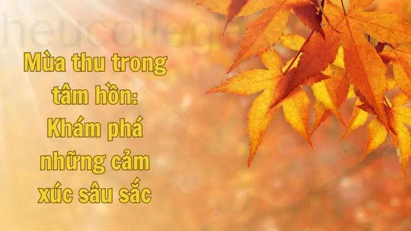 Câu nói mùa thu - Những cảm xúc trong thời gian đẹp 7