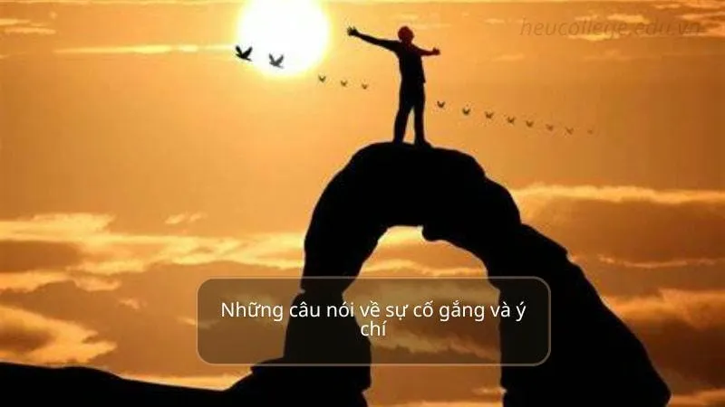 Những câu nói hay về sự cố gắng giúp bạn vươn lên mỗi ngày 7