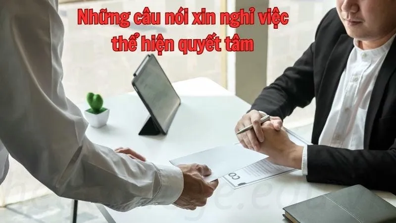 Top những câu nói xin nghỉ việc chuyên nghiệp 3