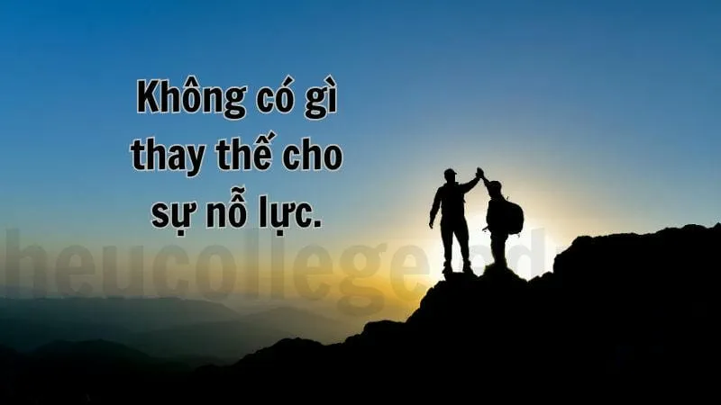 Câu nói yêu thích mang đến niềm cảm hứng cho cuộc sống 7