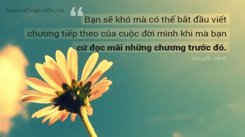 Tổng hợp 200+ châm ngôn hay về cuộc sống bạn không thể bỏ lỡ 8