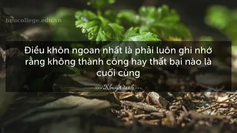 Châm ngôn là gì? Ý nghĩa sâu sắc và vai trò trong cuộc sống 5