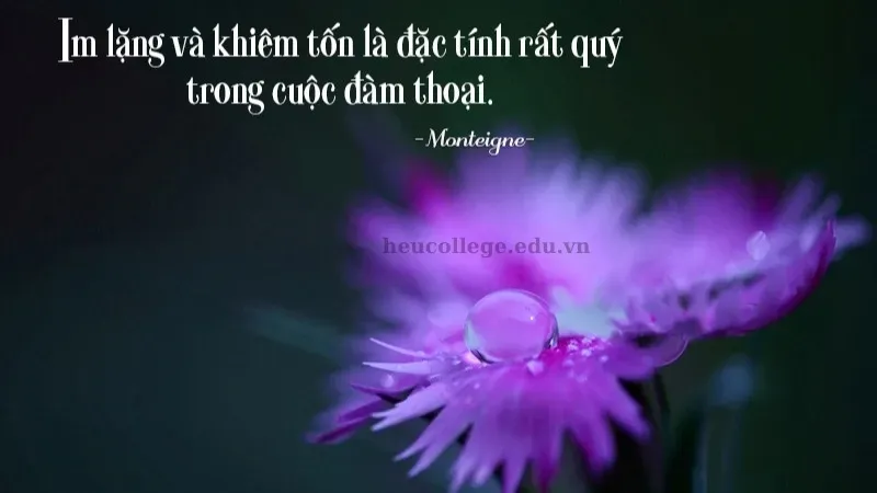 Tổng hợp những câu châm ngôn sống hay và ý nghĩa nhất  2