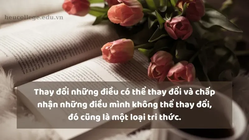 Tổng hợp những câu châm ngôn sống hay và ý nghĩa nhất  4