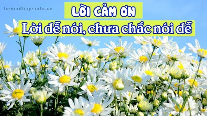 200+ Châm ngôn về lòng biết ơn giúp bạn trân trọng cuộc sống 3