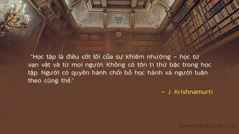 200+ Châm ngôn về sự nỗ lực giúp bạn vượt qua mọi khó khăn 1