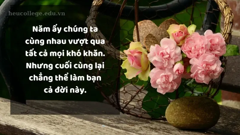 Những câu châm ngôn về tình bạn thân thiết không thể bỏ qua 2