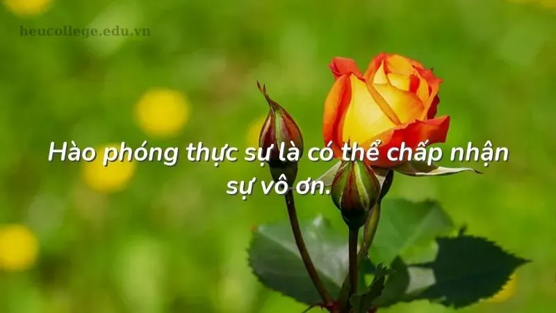 Những câu châm ngôn vô ơn bạc nghĩa khiến bạn phải suy ngẫm 6