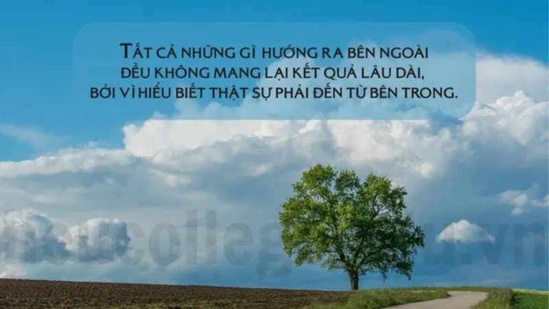 Muôn kiếp nhân sinh câu nói hay cho cuộc sống 6