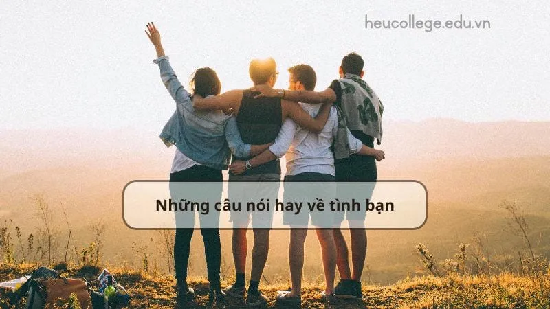 Top những câu nói hay về tình bạn đáng suy ngẫm 1