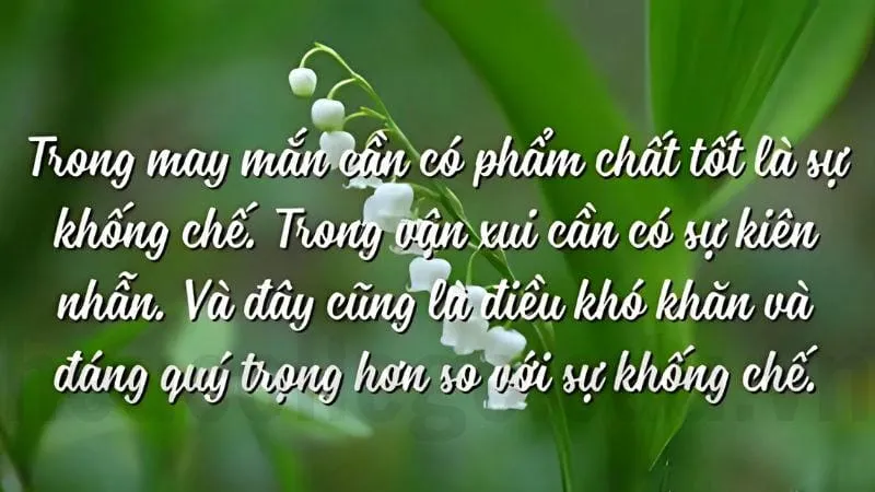 Câu nói may mắn giúp bạn tìm kiếm hạnh phúc 4