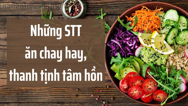 Top 10 stt ăn chay hay nhất truyền cảm hứng sống lành mạnh 2