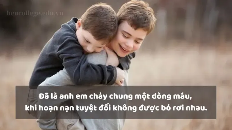 STT anh em trong nhà hài hước, sâu sắc và ý nghĩa nhất 2