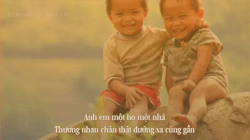 STT anh em trong nhà hài hước, sâu sắc và ý nghĩa nhất 6