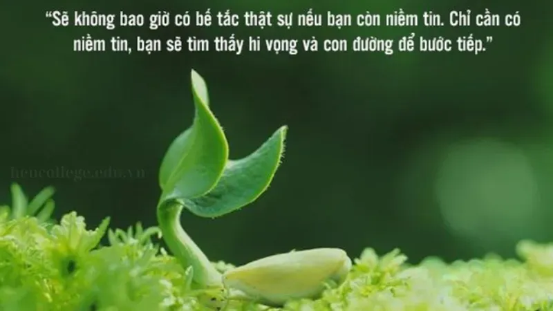 Top 10+ STT biết ơn cuộc sống ý nghĩa nhất để chia sẻ 6